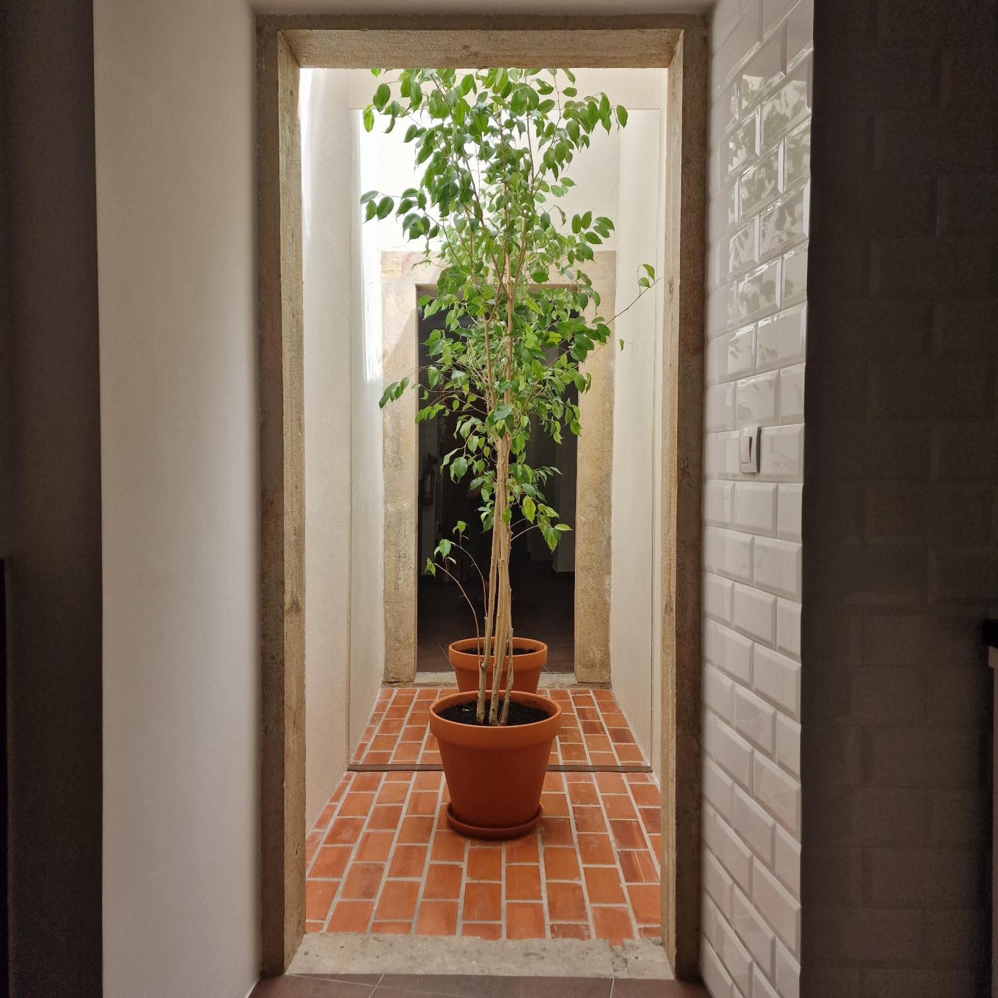 הוילה Casas De Constância חדר תמונה