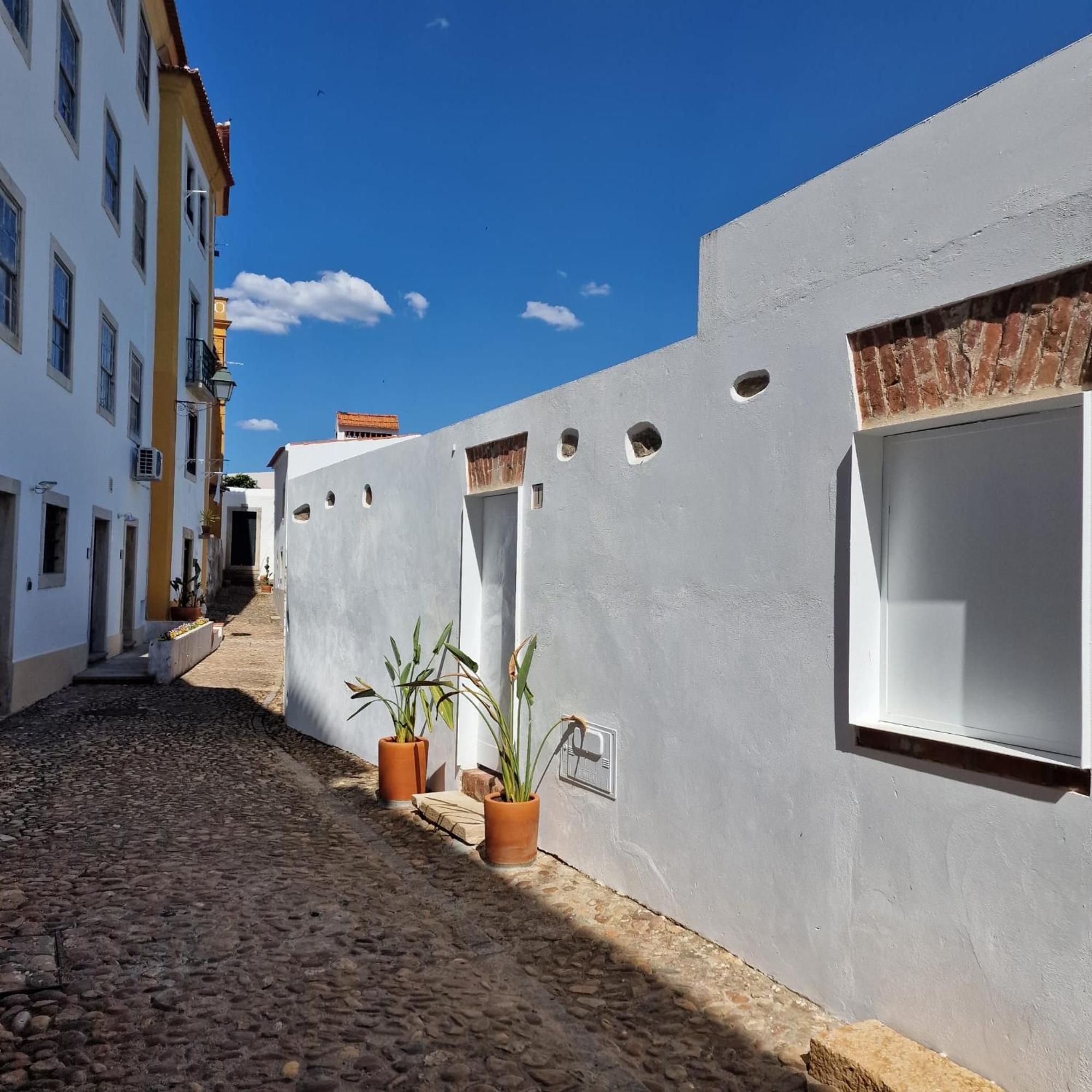 הוילה Casas De Constância מראה חיצוני תמונה